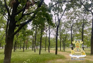 ���� ��� ��� � ��������� ��-���� ������