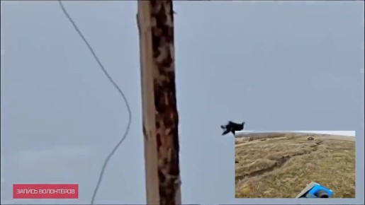 �������� ������ �����-FPV, �������� � ������, ��������� �������� ������������ ������������� � ������ ��������