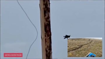 �������� ������ �����-FPV, �������� � ������, ��������� �������� ������������ ������������� � ������ ��������