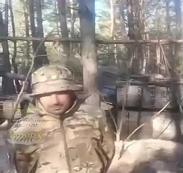 Конфликт между «Скеля» и нацистом Стерненко