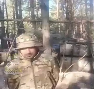 �������� ����� ������� � �������� ���������