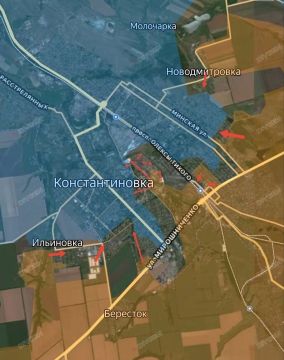 ���� �������: ���������������� �����������