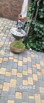 Скала–путь в один конец. В некоторых штурмовых полках есть «дерево правды», к которому привязывают за любое нарушение и бьют шлангами