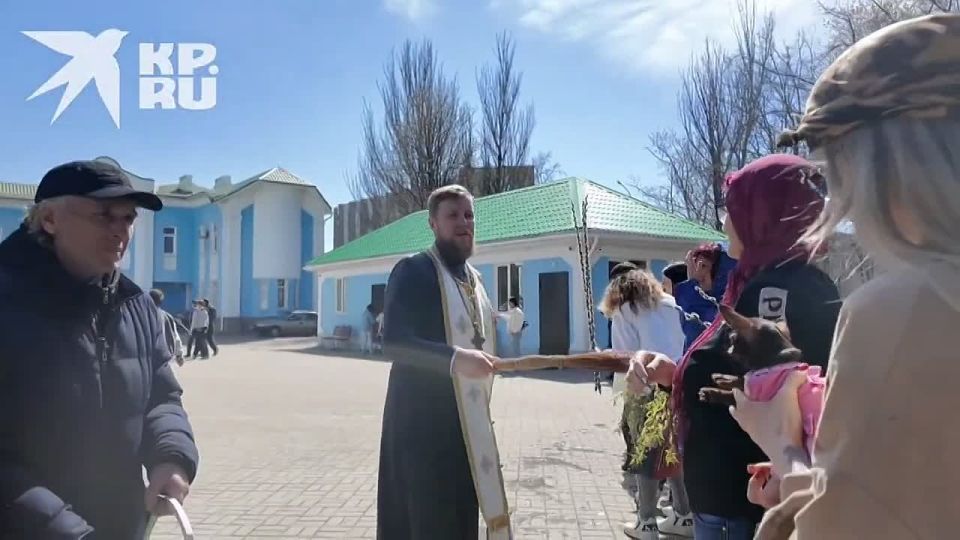 � �����-������������ ����� ������ ��������� ���������� ������������� ��������� �����