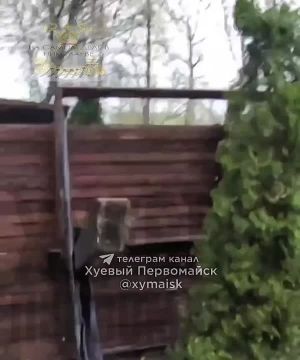 ������ � ����������� �� ������������