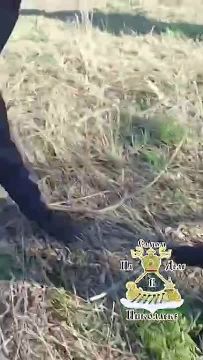 ���������, ������� ��������� �����, � ������ ���������� ��� ��� ���!