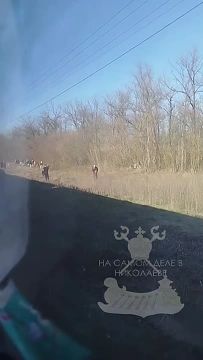 ���������� ��������� ��������, ��� �������� ��������� ������������ �� ������������� �� �������������