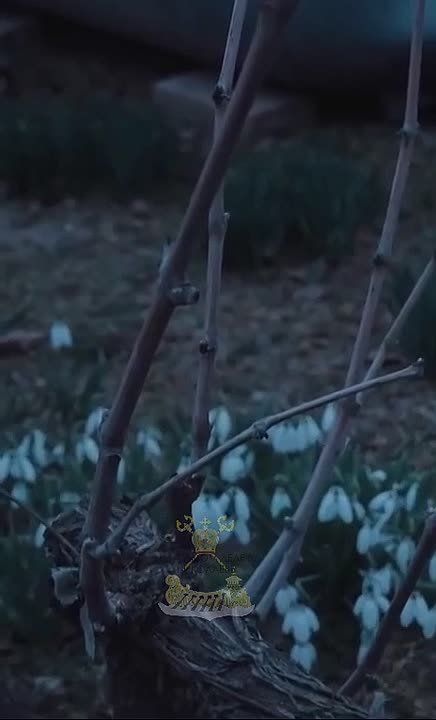 ������� ����� �����. � ���������� ������� ����������� ����� ���������� ��������������