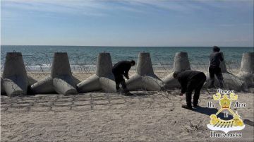 ���� � ������������ ������� � ������ ����� ��� ������