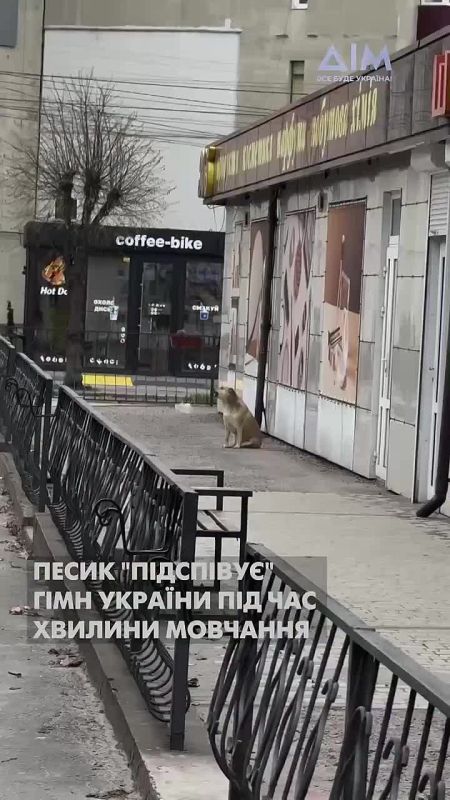 "Герани" добрались до Николаева — из города сообщают о взрывах
