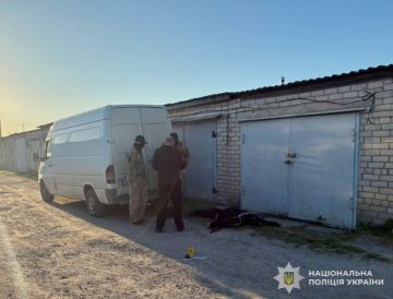 Убил учебной гранатой: николаевский уклонист "нейтрализовал" полицейского без единого взрыва