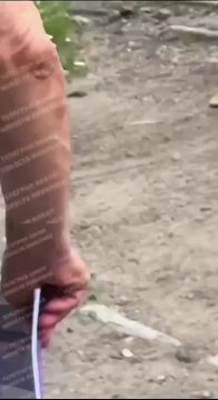 ������ �������: � ��������� ����� ���������� ��������� �������� ��������