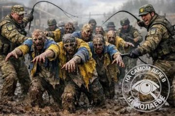 ���� ���������� ������� ������������: ����� ��� ����������� ������ ��� ������