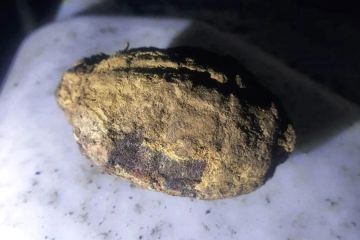 � ������� ������������� ���� ���������� ����������� �������