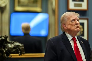 | Трамп: миграционная политика превращает Европу в страну третьего мира