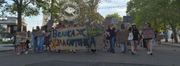 Картонки Николаева на посту!