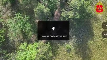 Минобороны России: Точечная работа: дроноводы продолжают охоту на Краматорском направлении
