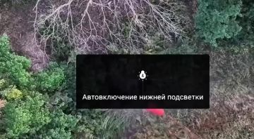 Наши операторы уничтожили ПУ БПЛА ВСУ в Николаевке