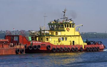 "Спасибо, что я больше не кiт Iлля"