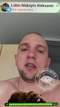 Румыния вслед за Чехией закручивает гайки украинским беглецам