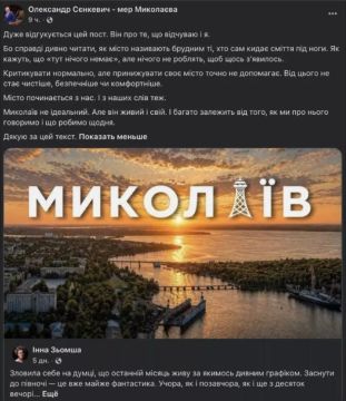 Мэр Николаева призвал не унижать город, а критиковать конструктивно