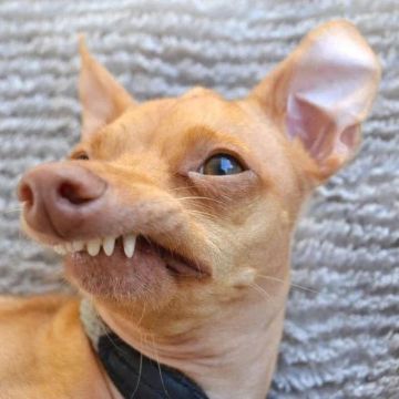 � ��� � ��� ������������� ��� ����? � ������ ������ � ����������?