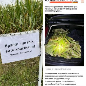 Тут даже мова не помогла. Доброй ночи, друзья, приятных Вам сновидений! Николаев, до завтра! Погода в Николаеве и области: ночь + 25°