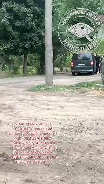 Николаев. Сопротивление чертям ТЦК