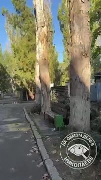 ��������� ������� �������� � ��������� � ����� ��� ������ �������� � ������������ ����