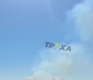 ������ �������� �������� �� �������� � ���������. �� ����� �����