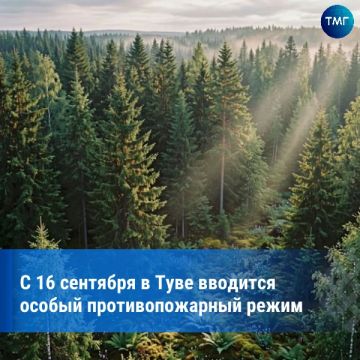 � ���� �������� ������ ��������������� �����