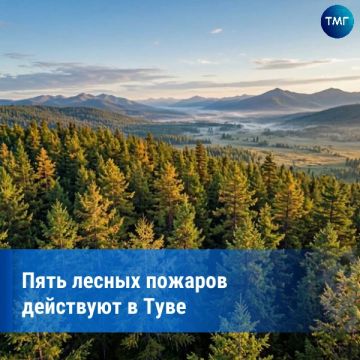 � ���� ������������� ���� ������ �������