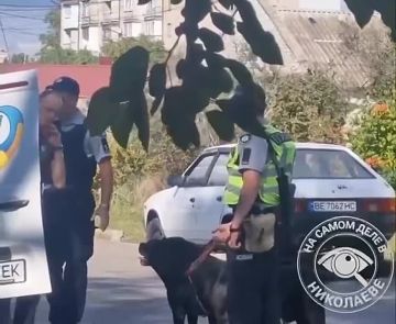 � ��������� �������� ������� ���� �� ���������� �����