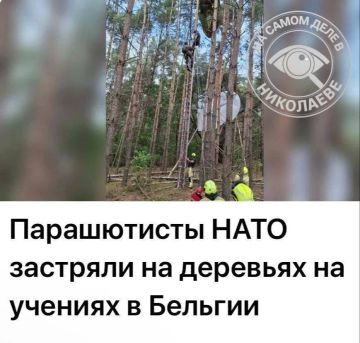 Путин изменил направление ветра и их унесло в лес