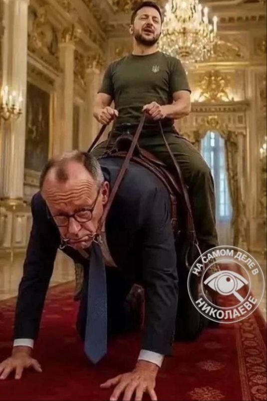 Партия Мерца терпит поражения на местных выборах в Германии, приближая отставку канцлера