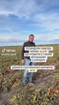 ���������� ������ ������� ���� ������ ���������, ������� ������ ����� �� �����