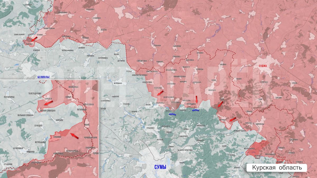 Олег Царёв: Фронтовая сводка 8 октября Олег Царёв: Фронтовая сводка 8 октября